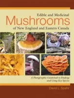 Funghi commestibili e medicinali del New England e del Canada orientale: Una guida fotografica alla ricerca e all'uso delle specie principali - Edible and Medicinal Mushrooms of New England and Eastern Canada: A Photographic Guidebook to Finding and Using Key Species