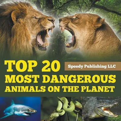 I 20 animali più pericolosi del pianeta - Top 20 Most Dangerous Animals On The Planet