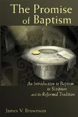 La promessa del battesimo: Un'introduzione al battesimo nelle Scritture e nella tradizione riformata - Promise of Baptism: An Introduction to Baptism in Scripture and the Reformed Tradition