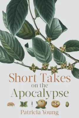 Brevi riflessioni sull'Apocalisse - Short Takes on the Apocalypse