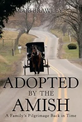 Adottati dagli Amish: il pellegrinaggio di una famiglia a ritroso nel tempo - Adopted by the Amish: A Family's Pilgrimage Back in Time