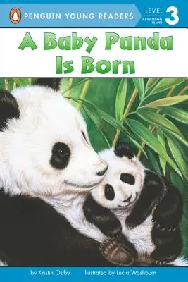 Nasce un cucciolo di panda - A Baby Panda Is Born