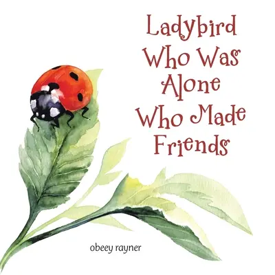 La coccinella che era sola e che si è fatta degli amici - Ladybird Who Was Alone Who Made Friends