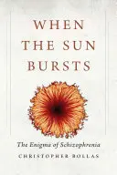 Quando il sole scoppia: L'enigma della schizofrenia - When the Sun Bursts: The Enigma of Schizophrenia