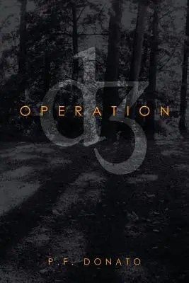 Operazione D3 - Operation D3