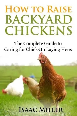 Come allevare polli da cortile: Guida completa alla cura dei pulcini e alla deposizione delle galline - How To Raise Backyard Chickens: The Complete Guide to Caring for Chicks to Laying Hens