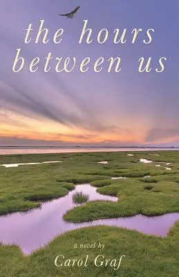 Le ore tra noi - The Hours Between Us