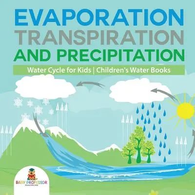 Evaporazione, traspirazione e precipitazione - Il ciclo dell'acqua per i bambini - Libri sull'acqua per bambini - Evaporation, Transpiration and Precipitation - Water Cycle for Kids - Children's Water Books