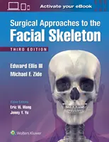 Approcci chirurgici allo scheletro facciale - Surgical Approaches to the Facial Skeleton