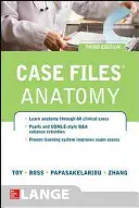 Anatomia - Anatomy
