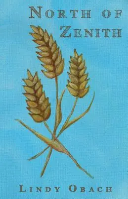 A nord dello Zenith - North of Zenith