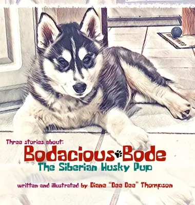Bodacious Bode - Il cucciolo di Siberian Husky - Bodacious Bode - The Siberian Husky Pup