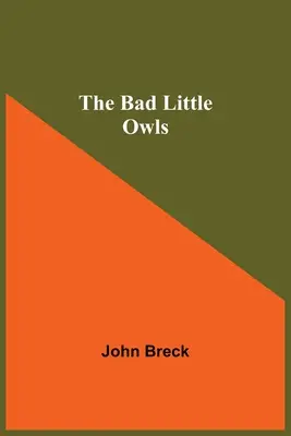 I piccoli gufi cattivi - The Bad Little Owls