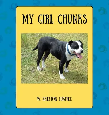 La mia ragazza a pezzi - My Girl Chunks
