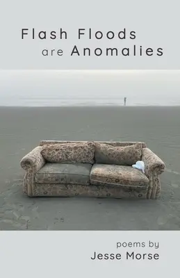 Le alluvioni improvvise sono anomalie - Flash Floods are Anomalies