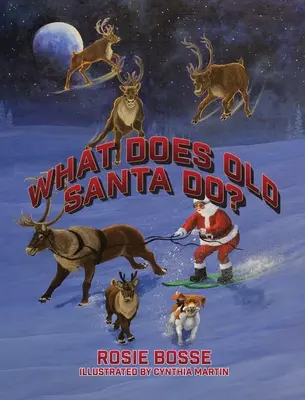 Cosa fa il vecchio Babbo Natale? - What Does Old Santa Do?