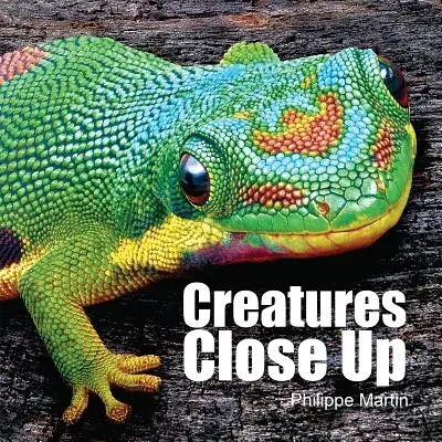 Creature da vicino - Creatures Close Up