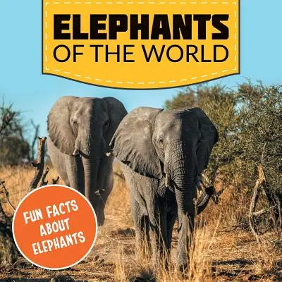 Gli elefanti del mondo: Fatti divertenti sugli elefanti - Elephants of the World: Fun Facts About Elephants