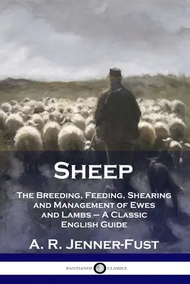 Domba: Pembiakan, Pemberian Pakan, Pencukuran Bulu, dan Pengelolaan Domba dan Domba - Panduan Klasik dalam Bahasa Inggris - Sheep: The Breeding, Feeding, Shearing and Management of Ewes and Lambs - A Classic English Guide