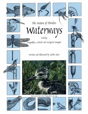 La natura dei corsi d'acqua della Florida: Tra cui libellule, gattucci e dentici di mangrovie - The Nature of Florida's Waterways: Including Dragonflies, Cattails, and Mangrove Snapper
