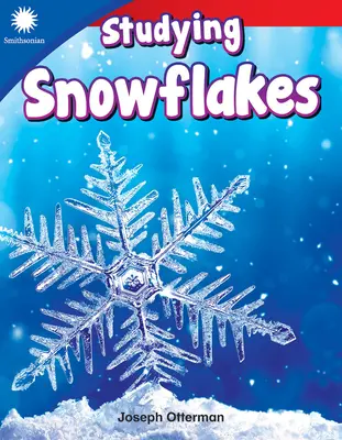 Studiare i fiocchi di neve - Studying Snowflakes