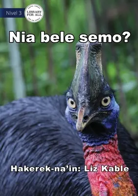 Può volare? - Nia bele semo? - Can It Fly? - Nia bele semo?