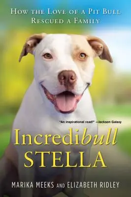 Incredibull Stella: come l'amore di un pitbull ha salvato una famiglia - Incredibull Stella: How the Love of a Pit Bull Rescued a Family