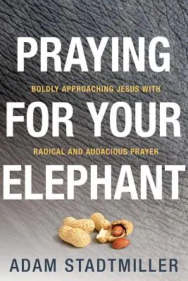 Pregare per il tuo elefante: Avvicinarsi coraggiosamente a Gesù con una preghiera radicale e audace - Praying for Your Elephant: Boldly Approaching Jesus with Radical and Audacious Prayer