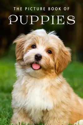 Il libro illustrato dei cuccioli: Un libro regalo per pazienti di Alzheimer e anziani con demenza - The Picture Book of Puppies: A Gift Book for Alzheimer's Patients and Seniors with Dementia