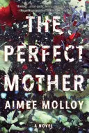 La madre perfetta - Un romanzo - Perfect Mother - A Novel