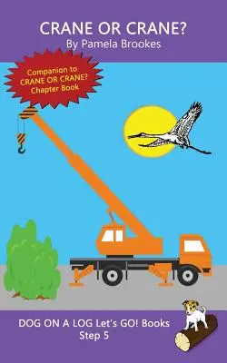 Gru o gru?: (Passo 5) Libri sonori (decodificabili sistematici) per aiutare i lettori in via di sviluppo, compresi quelli con dislessia, a imparare a leggere - Crane Or Crane?: (Step 5) Sound Out Books (systematic decodable) Help Developing Readers, including Those with Dyslexia, Learn to Read