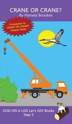 Gru o gru?: (Passo 5) Libri sonori (decodificabili sistematici) Aiutano i lettori in via di sviluppo, compresi quelli con dislessia, a imparare a leggere - Crane Or Crane?: (Step 5) Sound Out Books (systematic decodable) Help Developing Readers, including Those with Dyslexia, Learn to Read