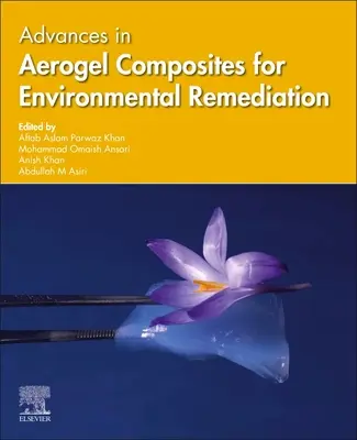 I progressi dei compositi aerogel per la bonifica ambientale - Advances in Aerogel Composites for Environmental Remediation