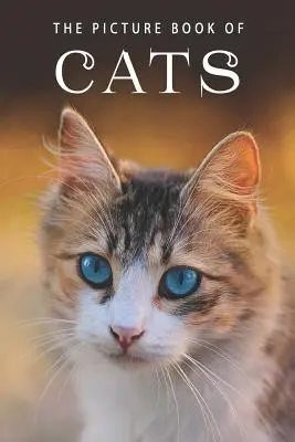 Il libro illustrato dei gatti: Un libro regalo per pazienti di Alzheimer e anziani con demenza - The Picture Book of Cats: A Gift Book for Alzheimer's Patients and Seniors with Dementia