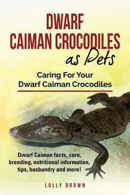 Coccodrilli Caiman nani come animali domestici: Fatti, cure, riproduzione, informazioni nutrizionali, consigli, allevamento e altro ancora! Cura del Caimano nano C - Dwarf Caiman Crocodiles as Pets: Dwarf Caiman facts, care, breeding, nutritional information, tips, husbandry and more! Caring For Your Dwarf Caiman C