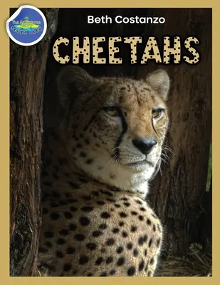 Quaderno di attività sul ghepardo età 4-8 anni - Cheetah Activity Workbook ages 4-8