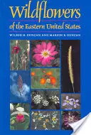 Fiori selvatici degli Stati Uniti orientali - Wildflowers of the Eastern United States