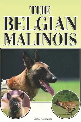 Il Malinois Belga: Guida completa ed esaustiva per principianti a: Acquistare, possedere, salute, toelettatura, addestramento, obbedienza, capire - The Belgian Malinois: A Complete and Comprehensive Beginners Guide To: Buying, Owning, Health, Grooming, Training, Obedience, Understanding