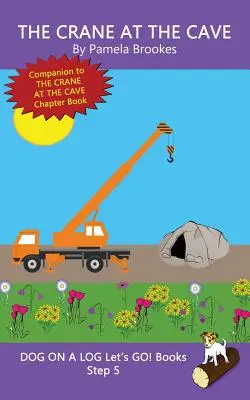 La gru alla caverna: (Passo 5) Libri sonori (decodificabili sistematici) Aiutano i lettori in via di sviluppo, compresi quelli con dislessia, a imparare a leggere - The Crane At The Cave: (Step 5) Sound Out Books (systematic decodable) Help Developing Readers, including Those with Dyslexia, Learn to Read