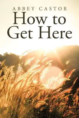 Come arrivare qui - How to Get Here