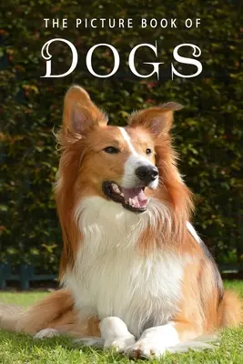 Il libro illustrato dei cani: un libro regalo per malati di Alzheimer e anziani con demenza - The Picture Book of Dogs: A Gift Book for Alzheimer's Patients and Seniors with Dementia