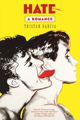 L'odio: un romanzo - Hate: A Romance