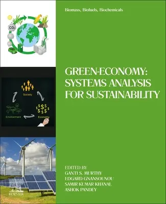 Biomasse, biocarburanti, prodotti biochimici: Economia verde: Analisi dei sistemi per la sostenibilità - Biomass, Biofuels, Biochemicals: Green-Economy: Systems Analysis for Sustainability