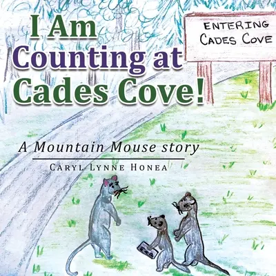 Sto contando a Cades Cove! La storia di un topo di montagna - I Am Counting at Cades Cove!: A Mountain Mouse Story