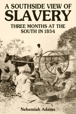 Una visione del lato sud della schiavitù - A Southside View of Slavery