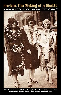 Harlem: La creazione di un ghetto: New York negra 1890-1930 - Harlem: The Making of a Ghetto: Negro New York 1890-1930