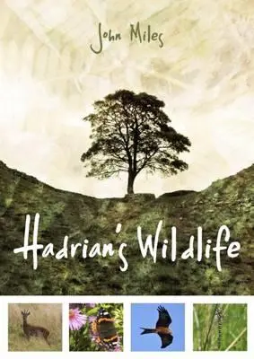 La fauna selvatica di Adriano - Hadrian's Wildlife
