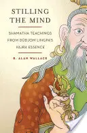 Arrestare la mente: Insegnamenti di Shamatha dall'Essenza Vajra di Dudjom Lingpa - Stilling the Mind: Shamatha Teachings from Dudjom Lingpa's Vajra Essence