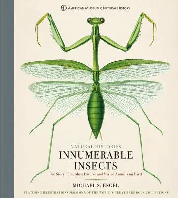 Innumerevoli insetti: La storia degli animali più diversi e miriadi della Terra - Innumerable Insects: The Story of the Most Diverse and Myriad Animals on Earth