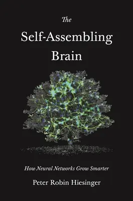 Il cervello auto-assemblante: come le reti neurali diventano più intelligenti - The Self-Assembling Brain: How Neural Networks Grow Smarter